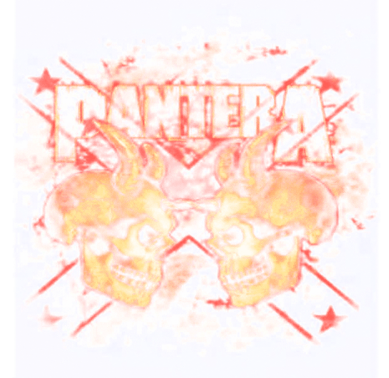 pantera-2